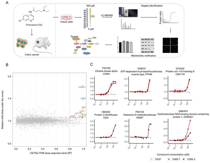 Int J Biol Sci Image