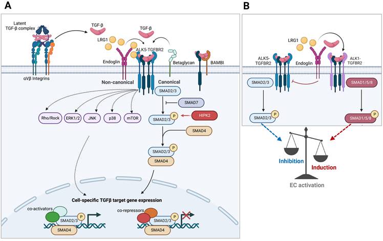 Int J Biol Sci Image