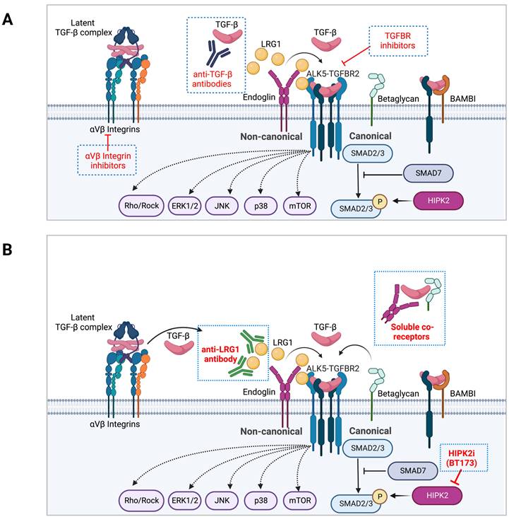 Int J Biol Sci Image