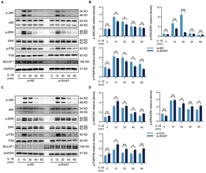 Int J Biol Sci Image