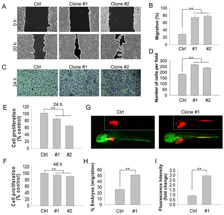 Int J Biol Sci Image