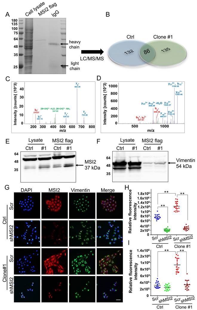 Int J Biol Sci Image