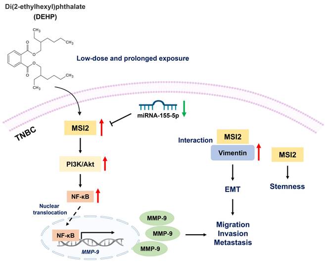 Int J Biol Sci Image