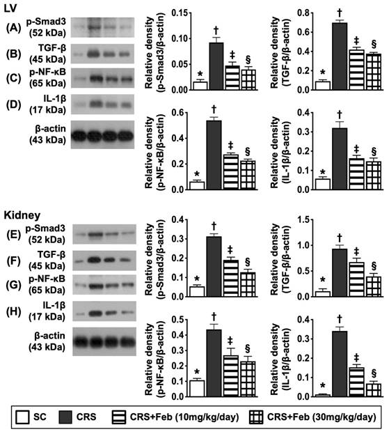 Int J Biol Sci Image