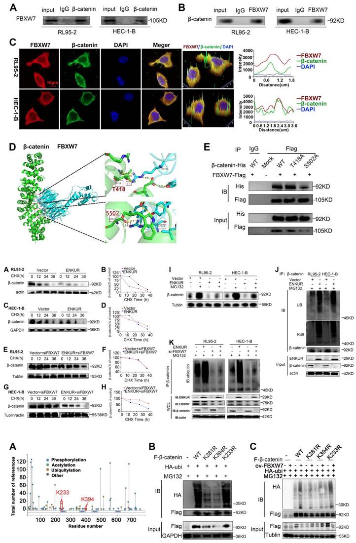 Int J Biol Sci Image