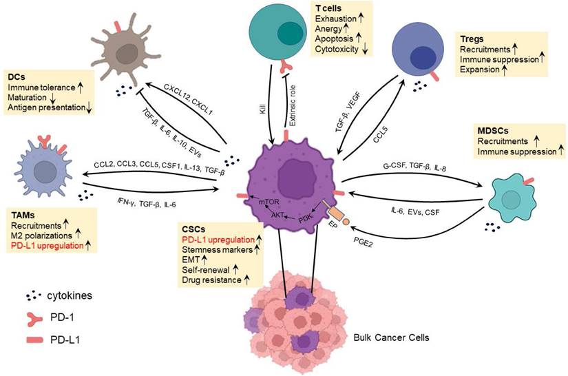 Int J Biol Sci Image