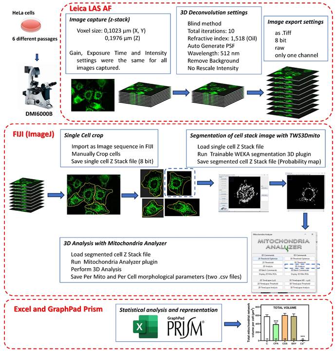 Int J Biol Sci Image