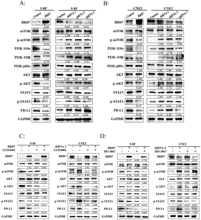 Int J Biol Sci Image