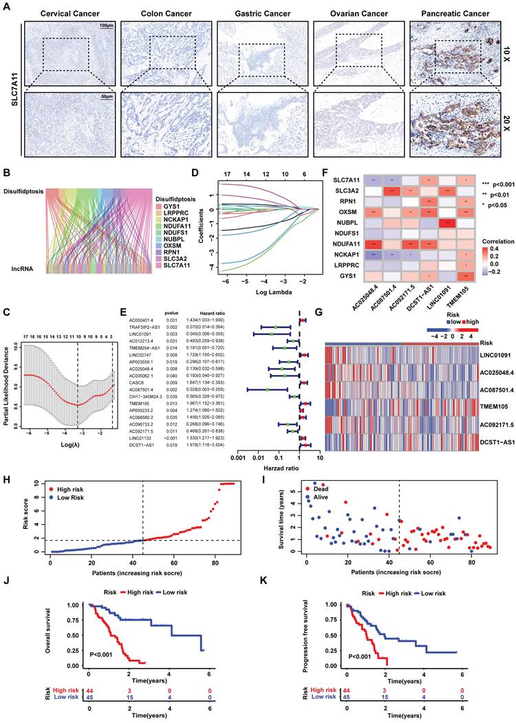 Int J Biol Sci Image