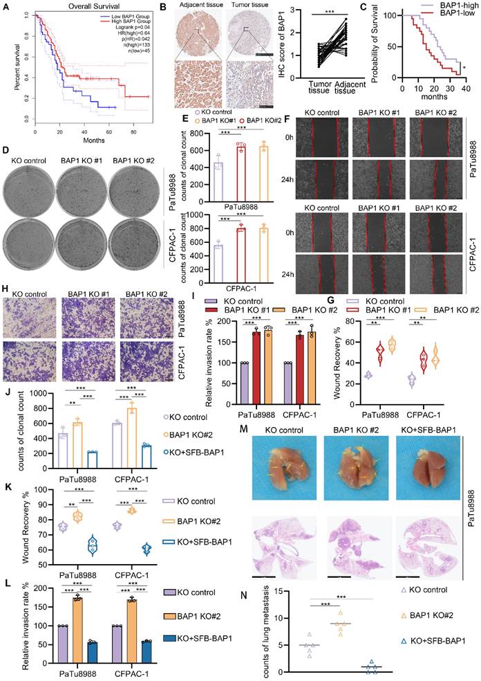 Int J Biol Sci Image