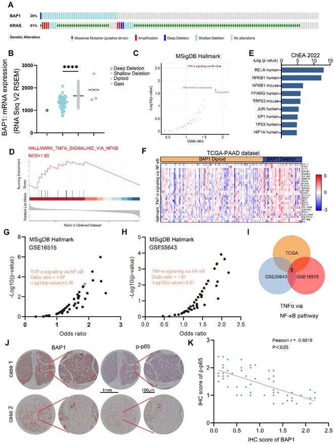 Int J Biol Sci Image