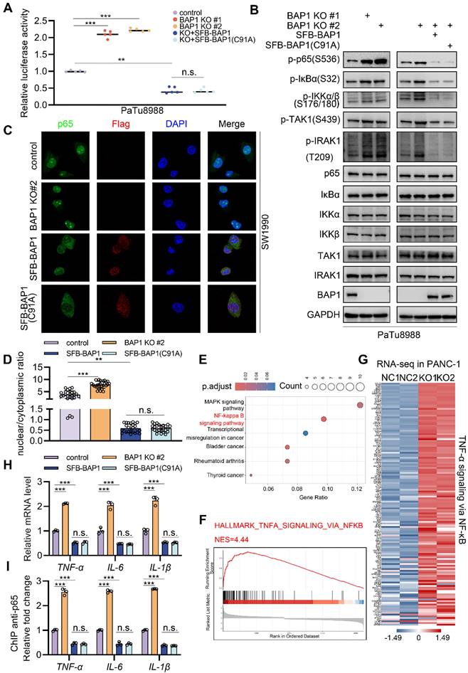 Int J Biol Sci Image