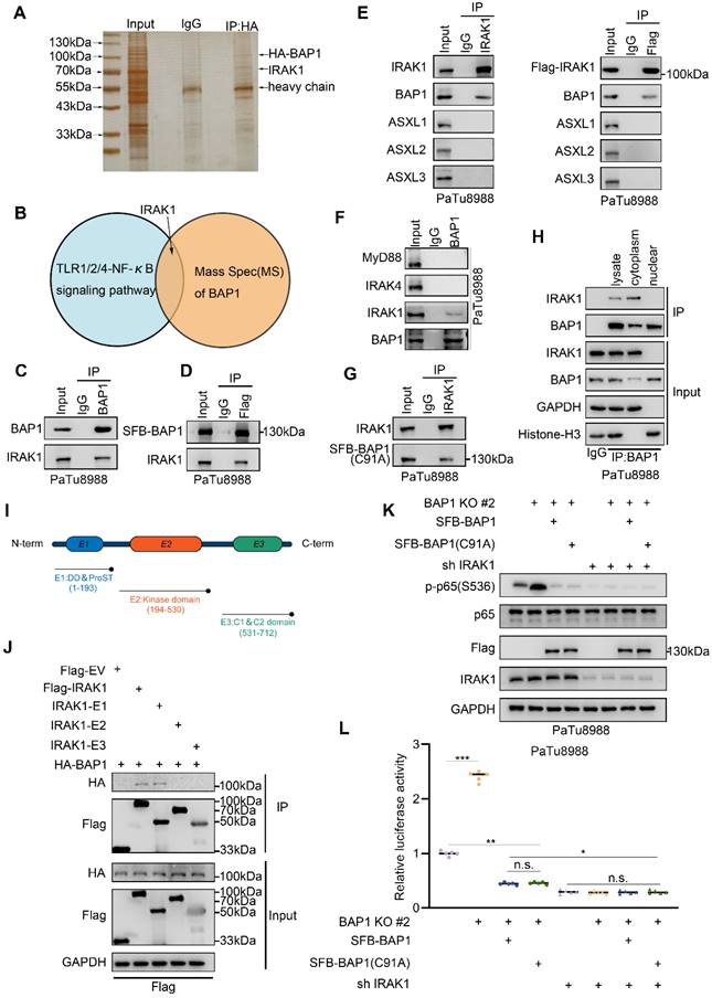 Int J Biol Sci Image