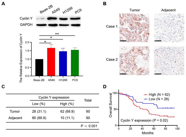 Int J Biol Sci Image