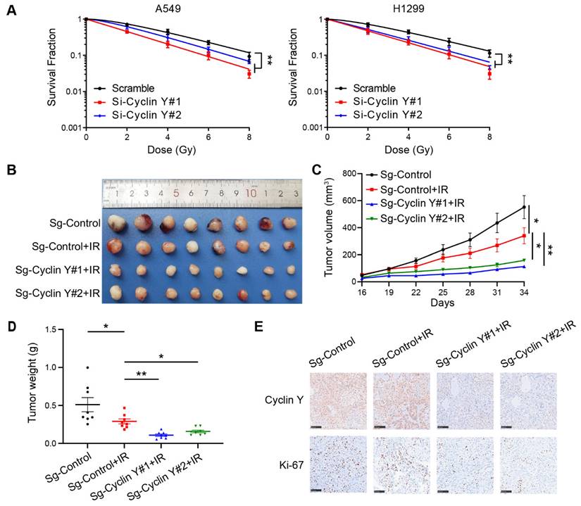 Int J Biol Sci Image