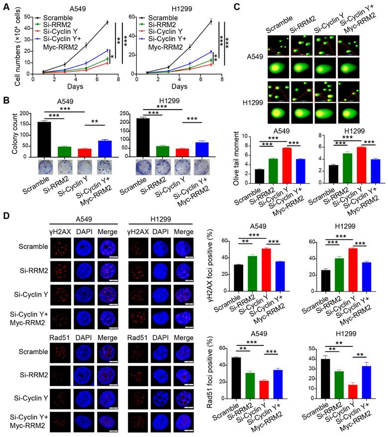 Int J Biol Sci Image