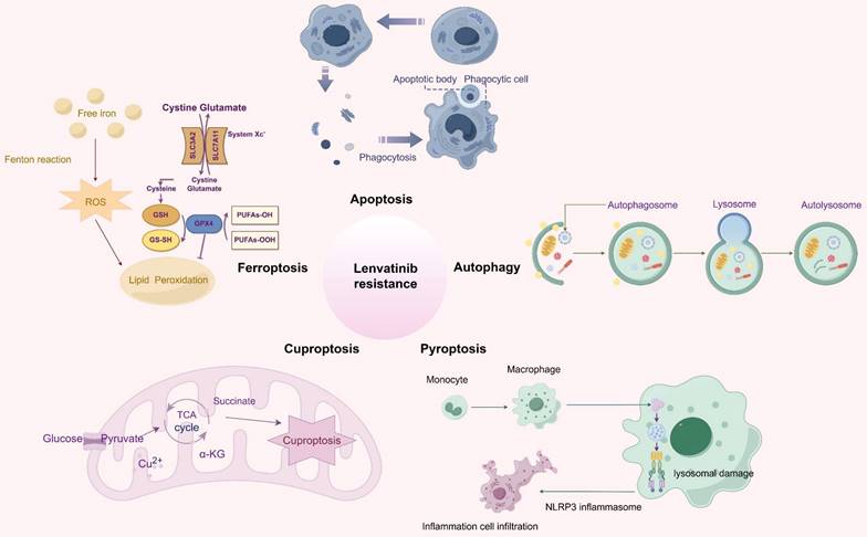 Int J Biol Sci Image