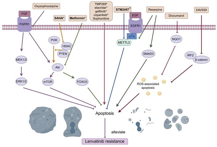 Int J Biol Sci Image