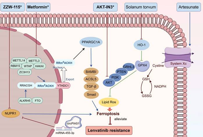 Int J Biol Sci Image