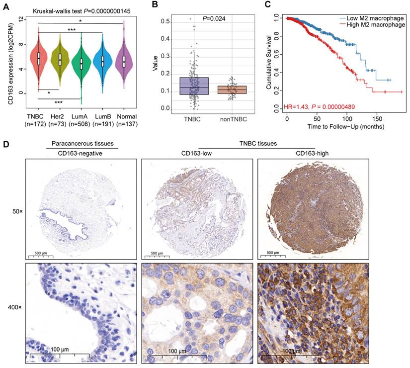 Int J Biol Sci Image