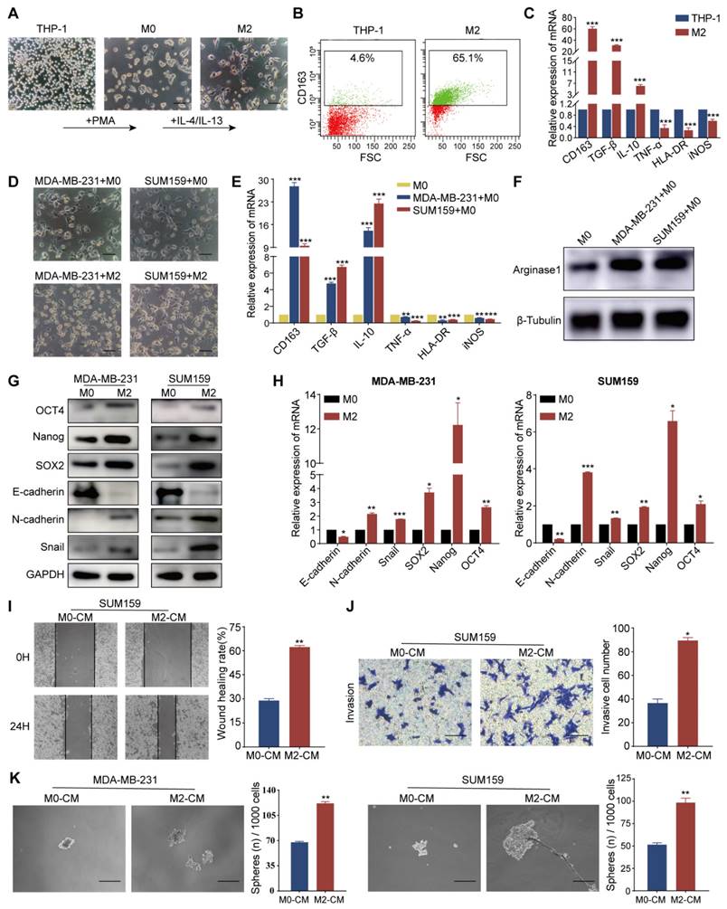 Int J Biol Sci Image