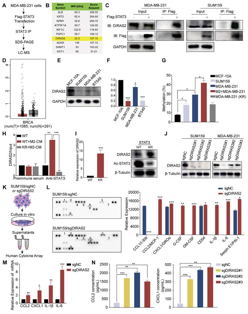 Int J Biol Sci Image