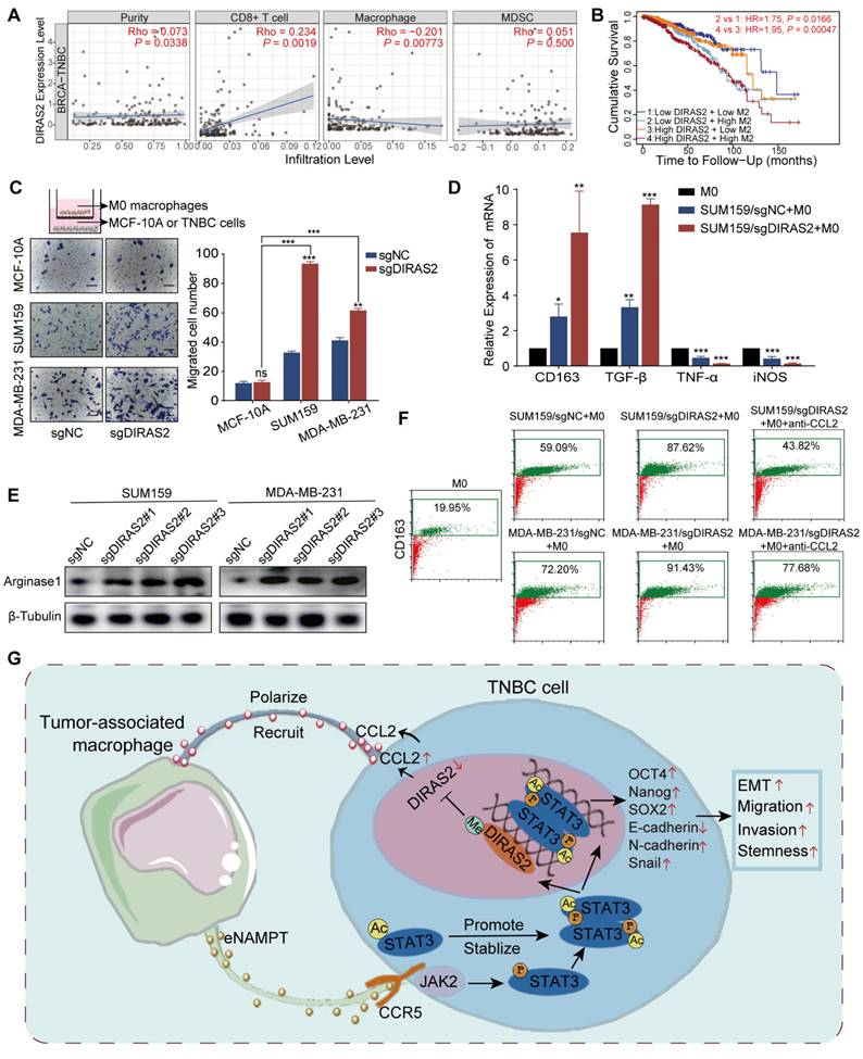 Int J Biol Sci Image