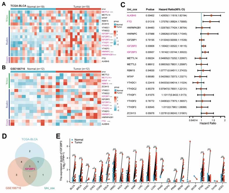 Int J Biol Sci Image