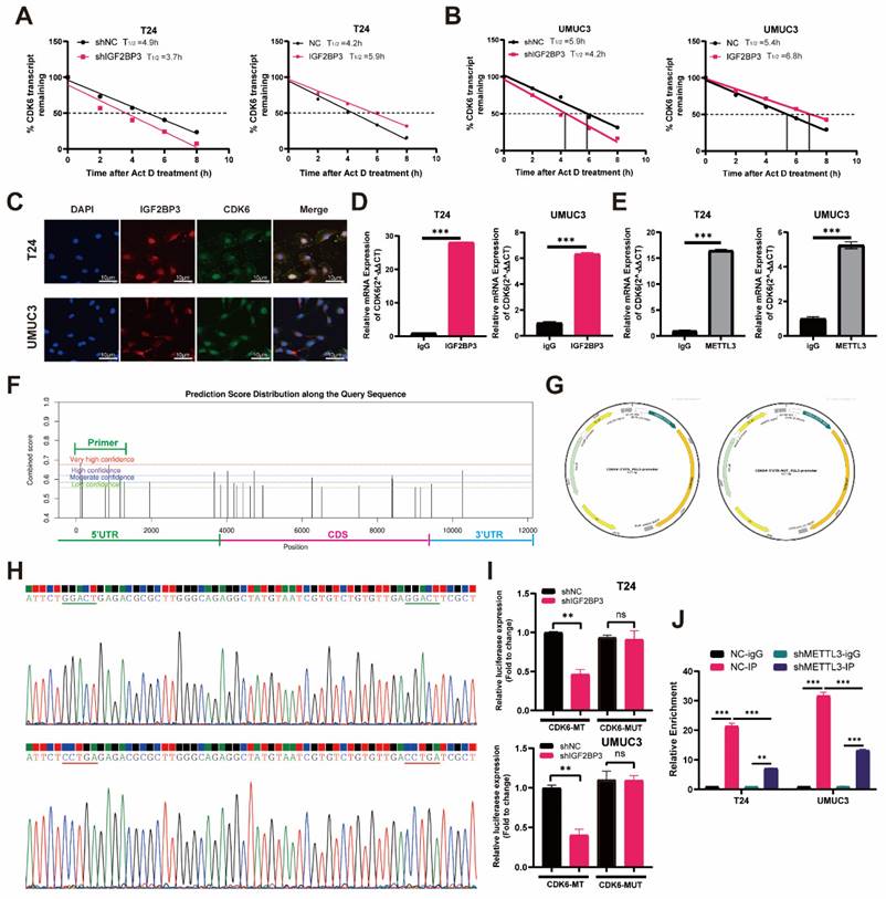 Int J Biol Sci Image