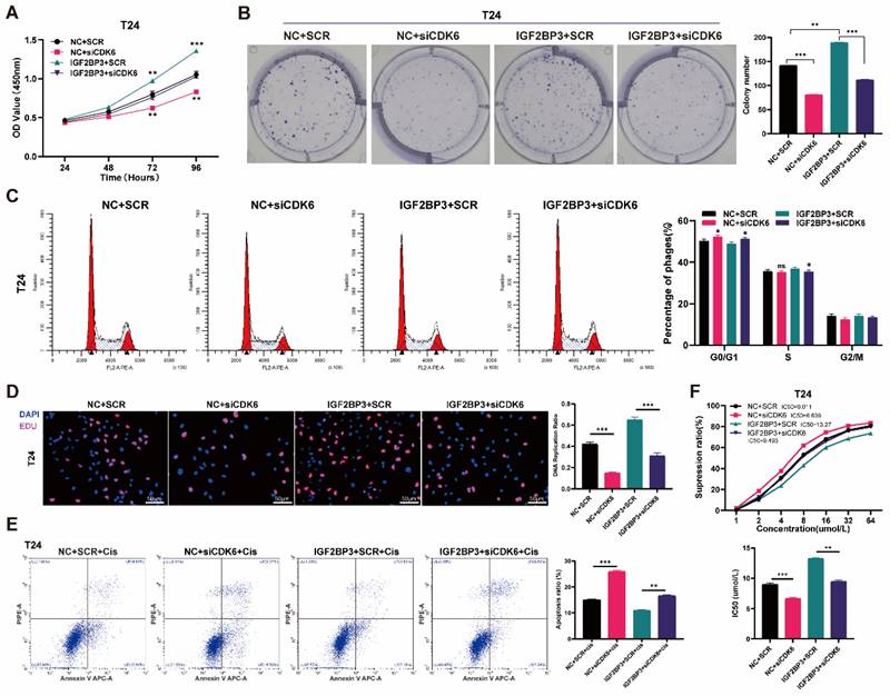 Int J Biol Sci Image