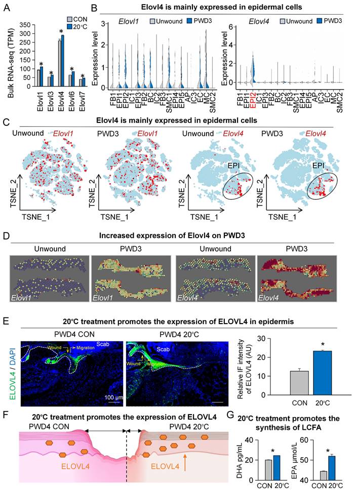 Int J Biol Sci Image