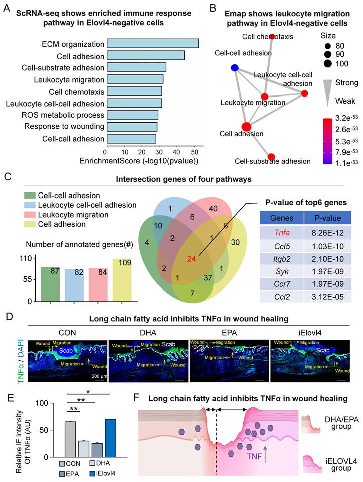 Int J Biol Sci Image