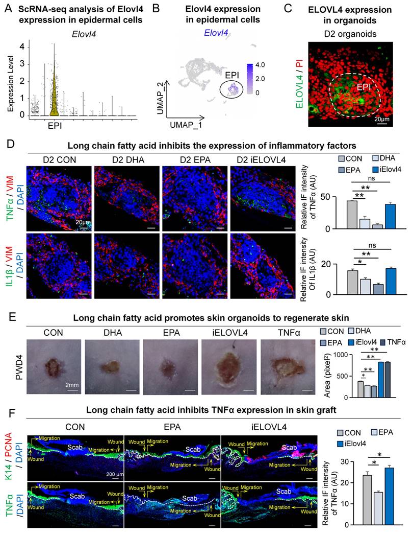 Int J Biol Sci Image