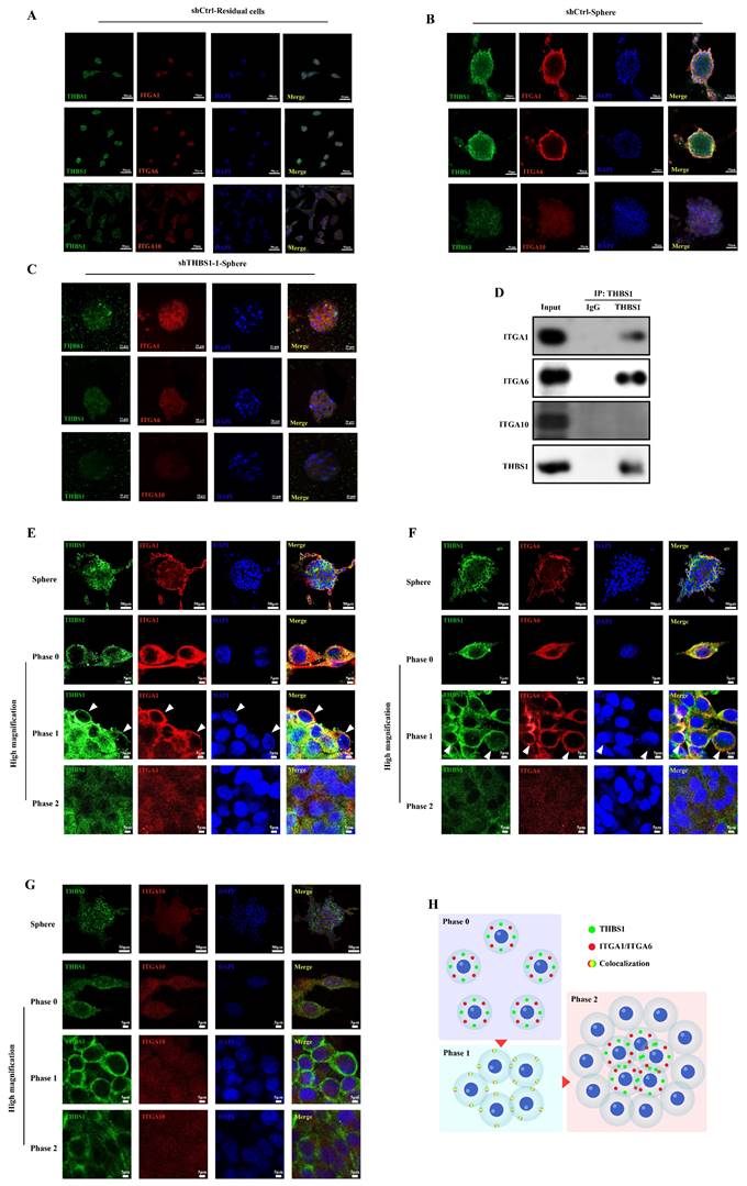 Int J Biol Sci Image