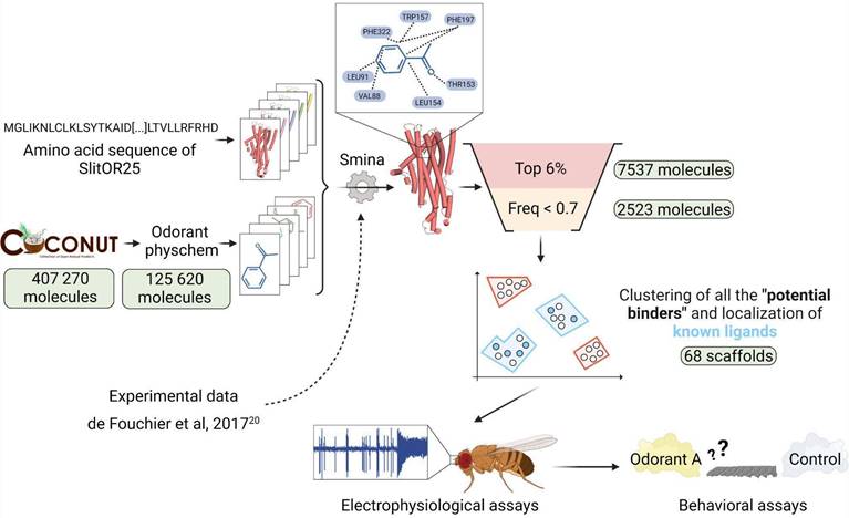 Int J Biol Sci Image