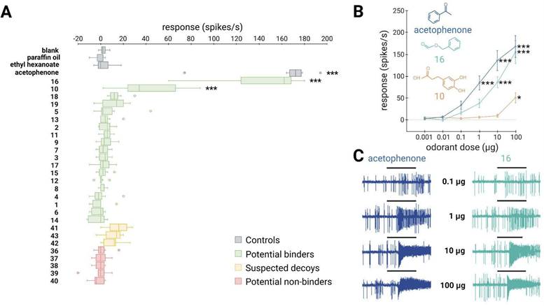 Int J Biol Sci Image