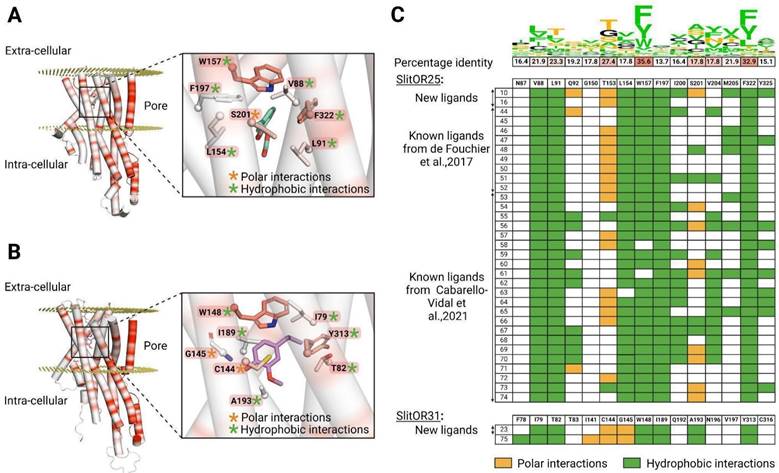 Int J Biol Sci Image