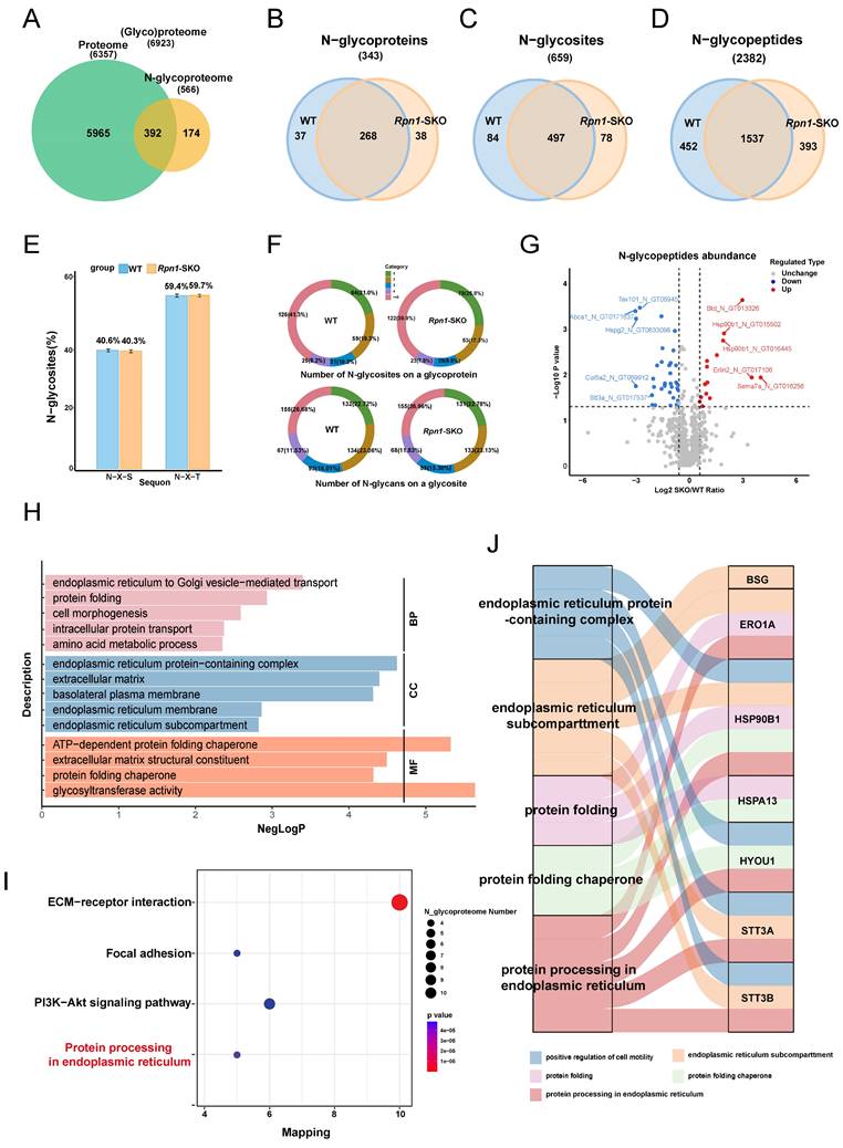 Int J Biol Sci Image