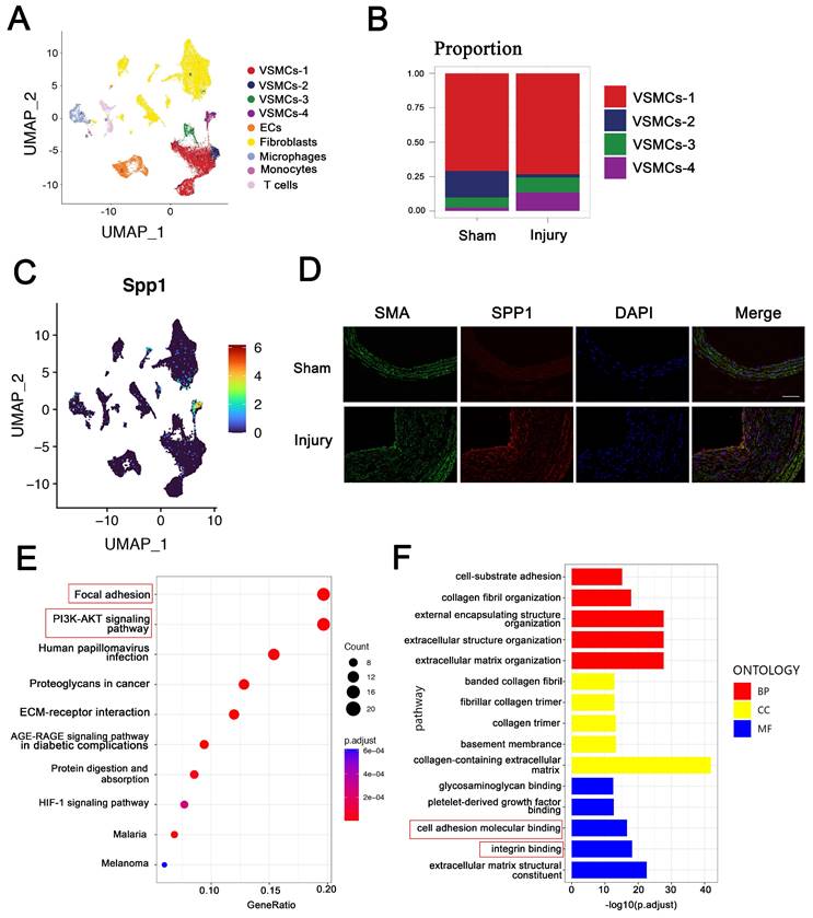 Int J Biol Sci Image