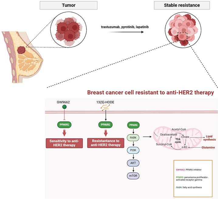 Int J Biol Sci Image