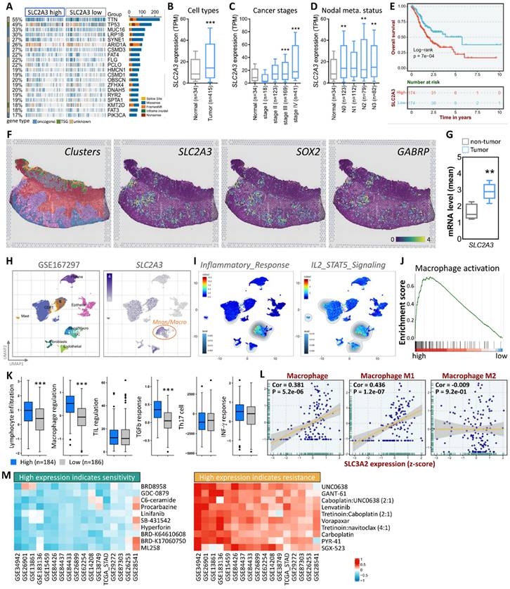 Int J Biol Sci Image