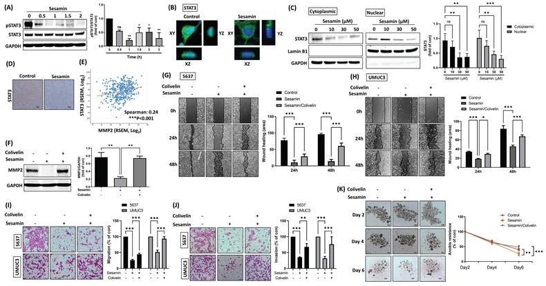 Int J Biol Sci Image