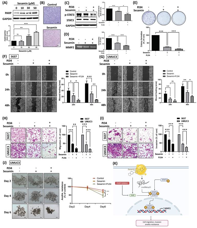 Int J Biol Sci Image