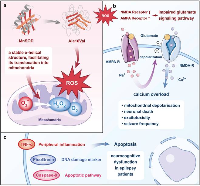 Int J Biol Sci Image