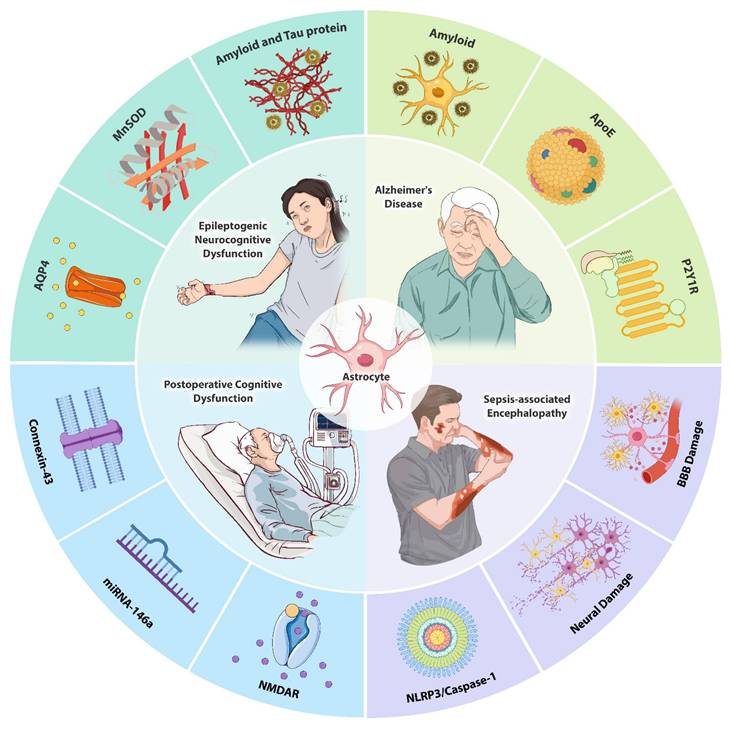 Int J Biol Sci Image