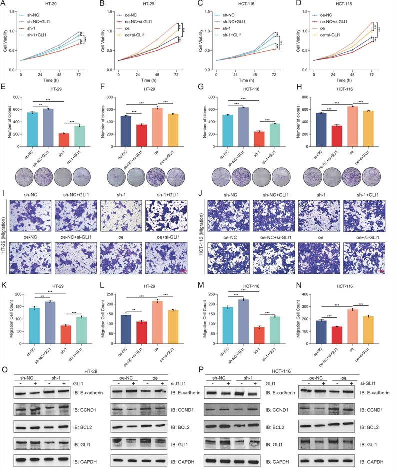 Int J Biol Sci Image