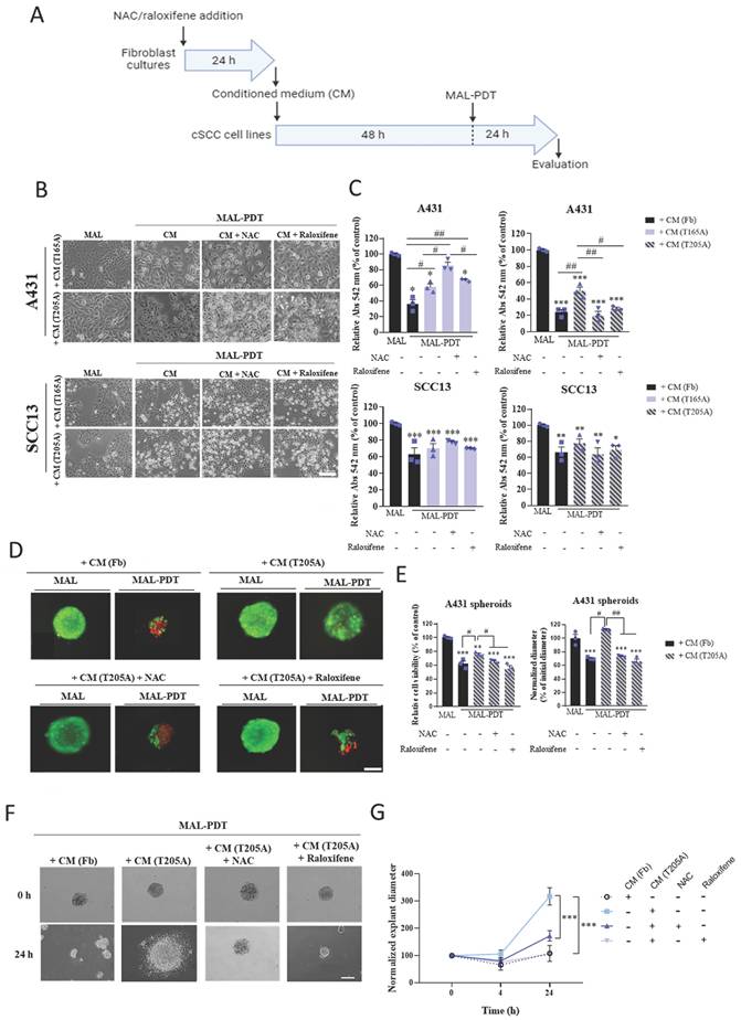 Int J Biol Sci Image