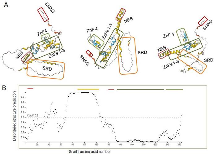 Int J Biol Sci Image