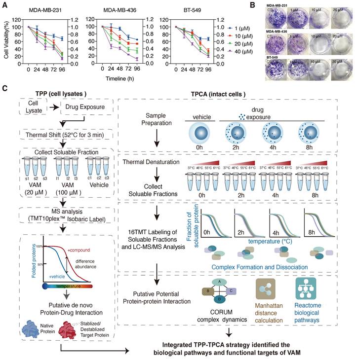 Int J Biol Sci Image