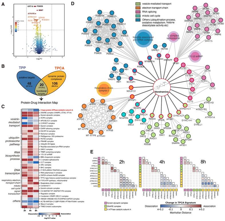 Int J Biol Sci Image
